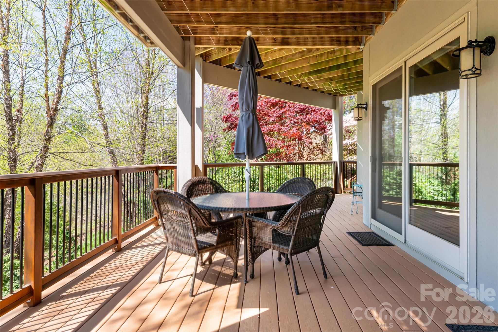 256 Senator Reynolds Road — Asheville