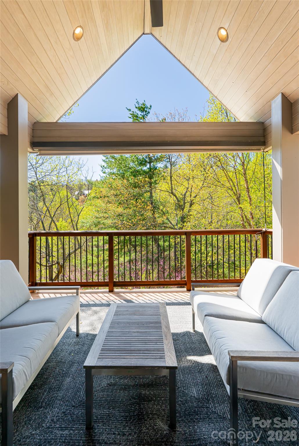 256 Senator Reynolds Road — Asheville