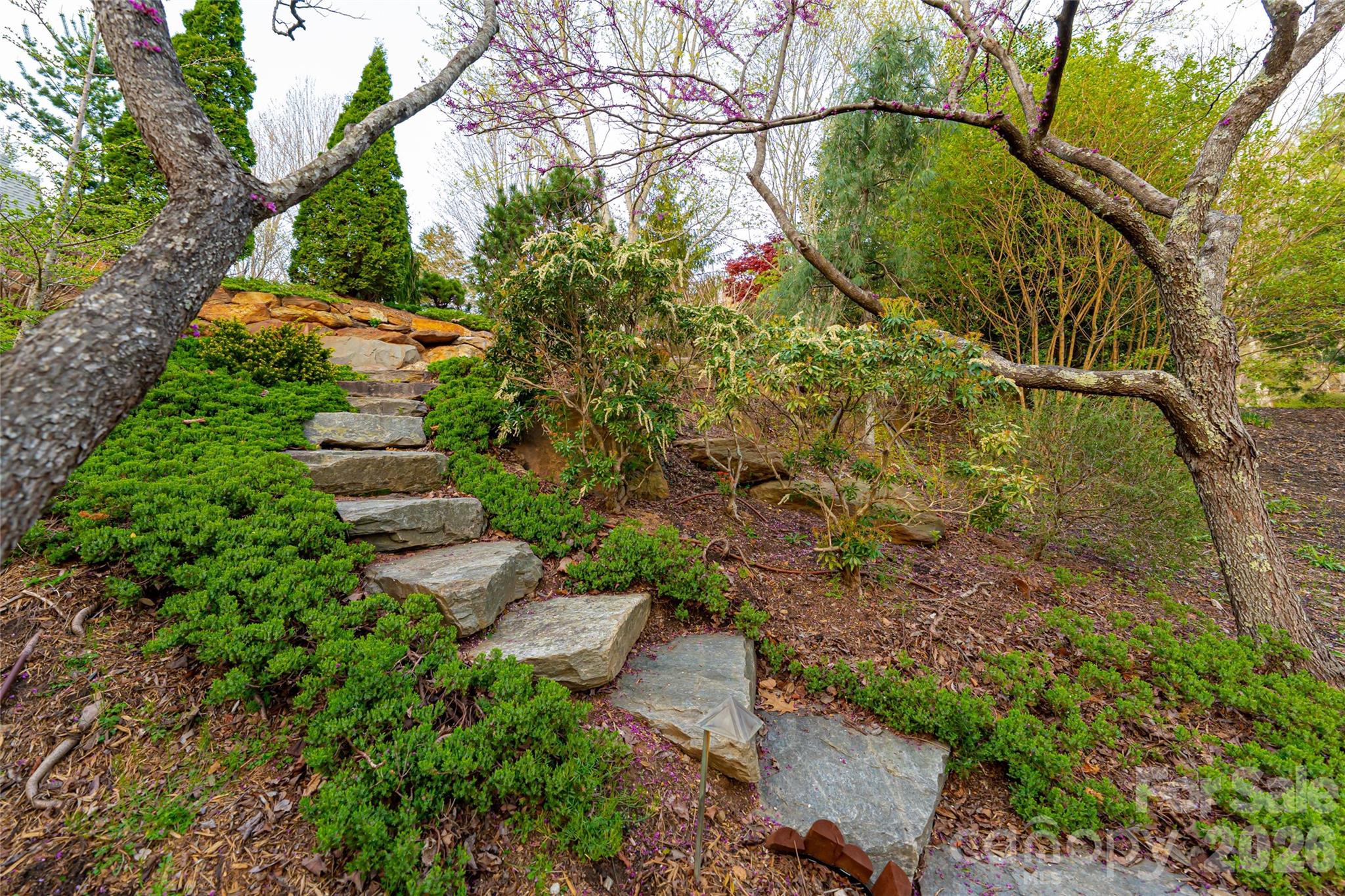 256 Senator Reynolds Road — Asheville