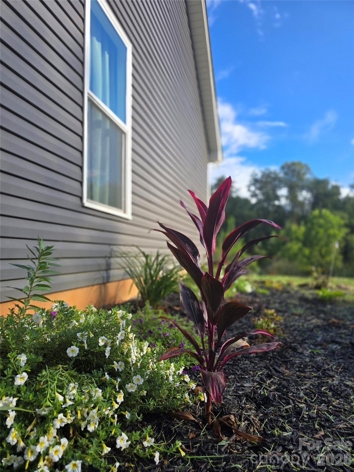 19 Higgins Road — Weaverville