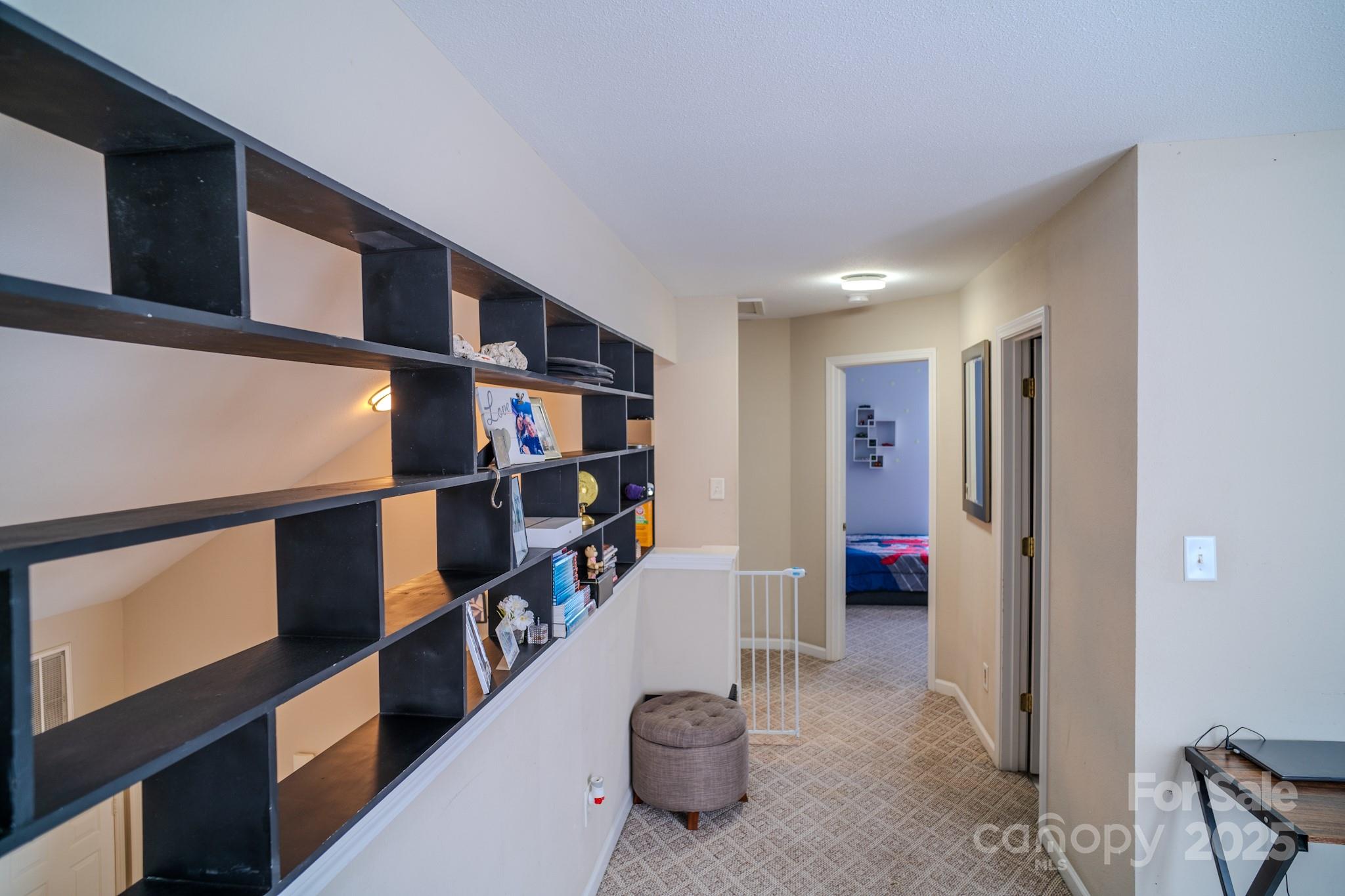 10202 Orchard Grass Court — Charlotte