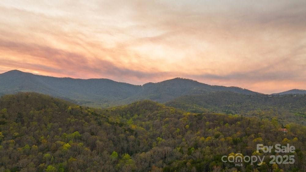 502 CALEDONIA Loop — Landrum