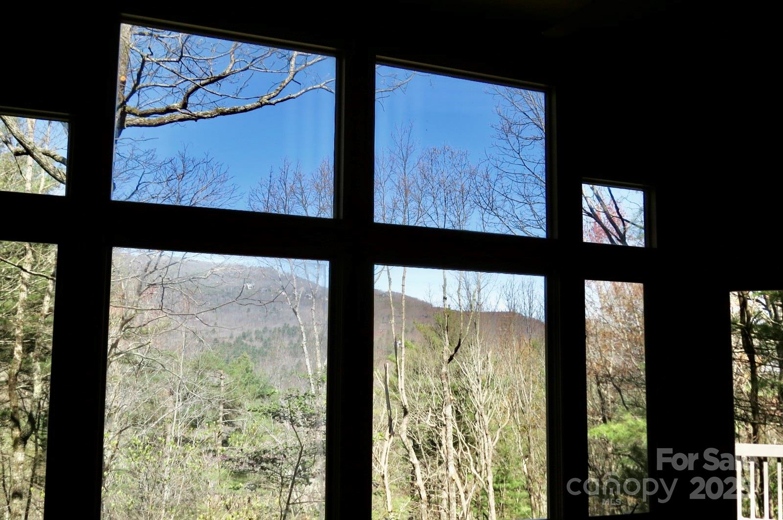 422 Lakeside Drive #L015, L016 — Lake Toxaway