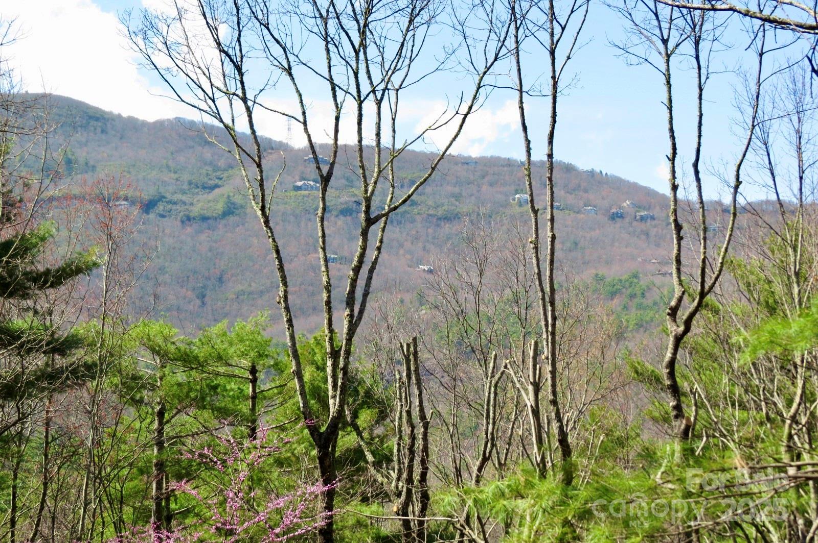 422 Lakeside Drive #L015, L016 — Lake Toxaway
