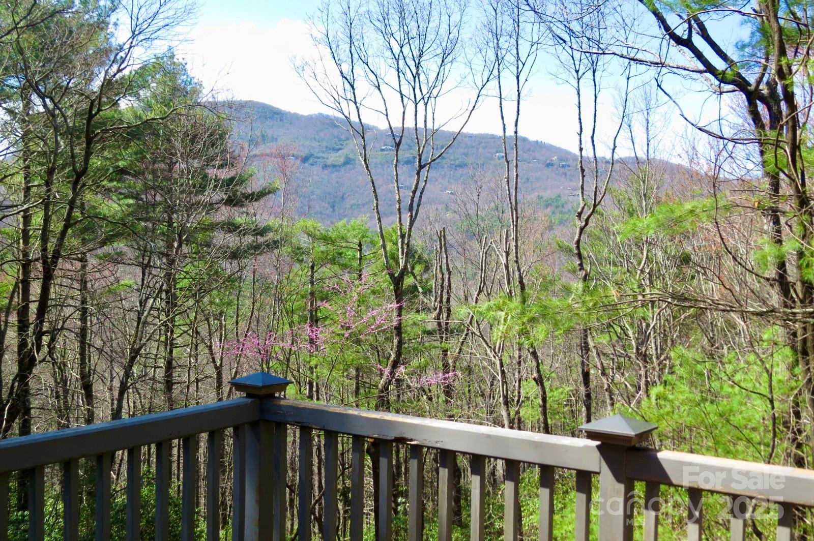 422 Lakeside Drive #L015, L016 — Lake Toxaway