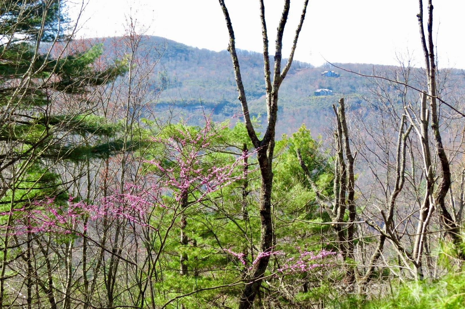 422 Lakeside Drive #L015, L016 — Lake Toxaway