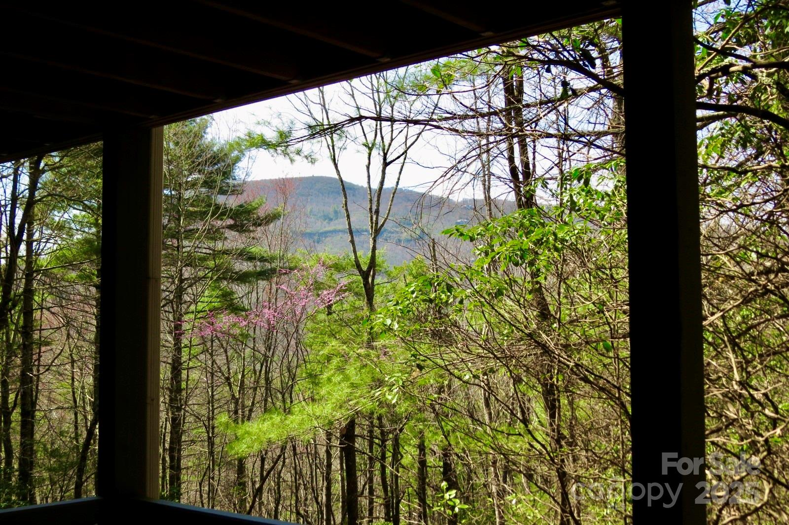 422 Lakeside Drive #L015, L016 — Lake Toxaway