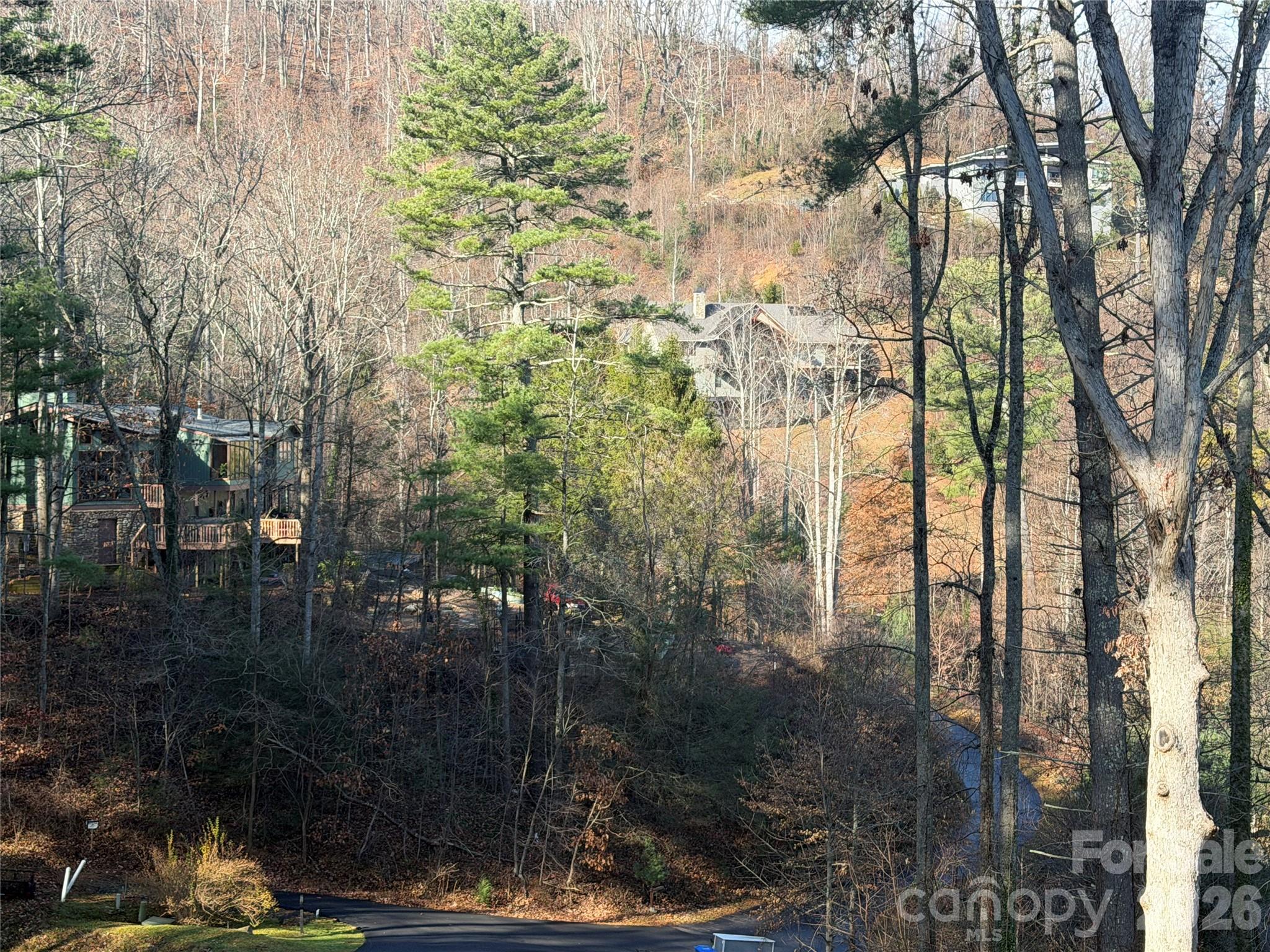 42 Spring Cove Road — Asheville