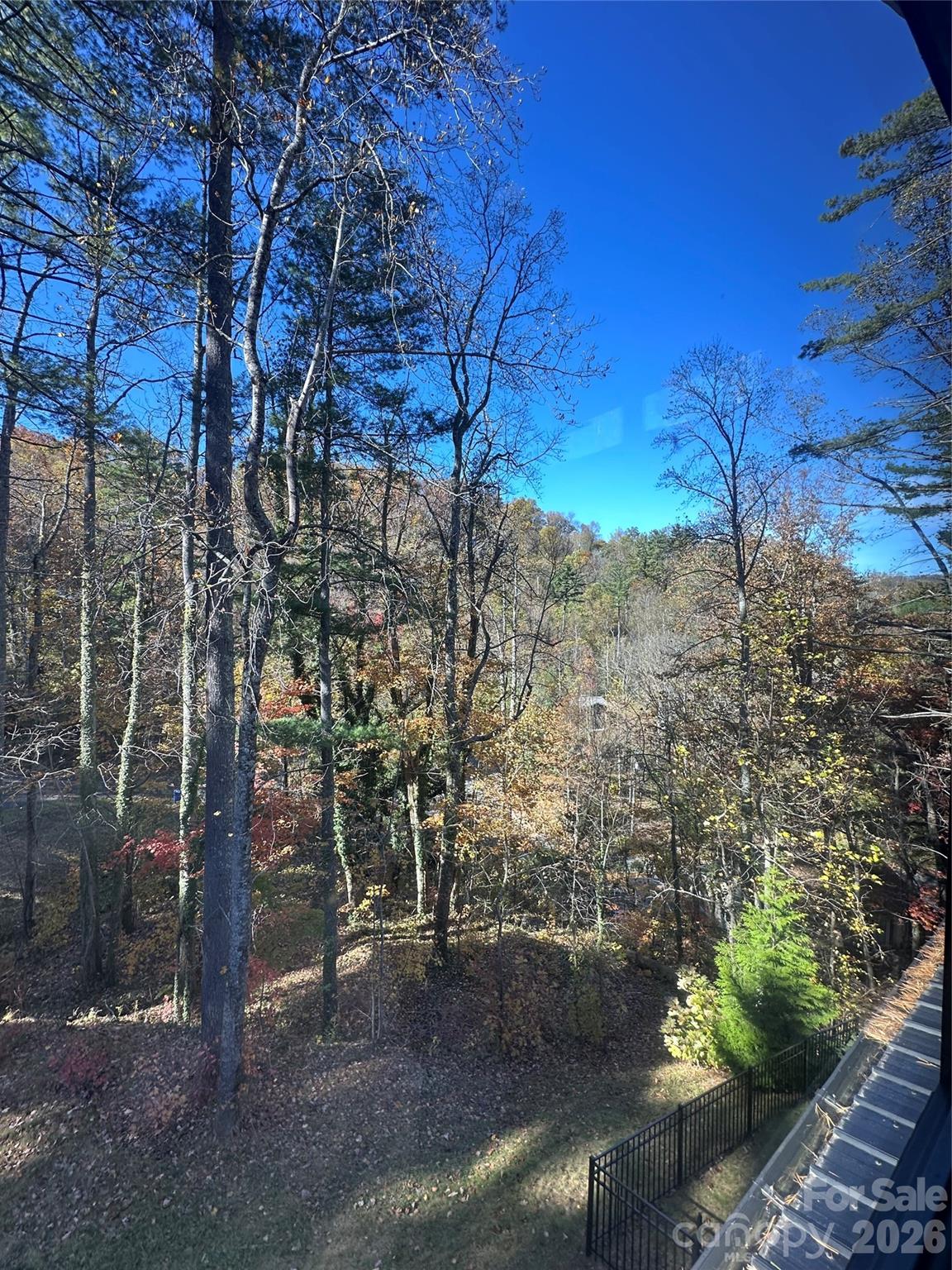 42 Spring Cove Road — Asheville