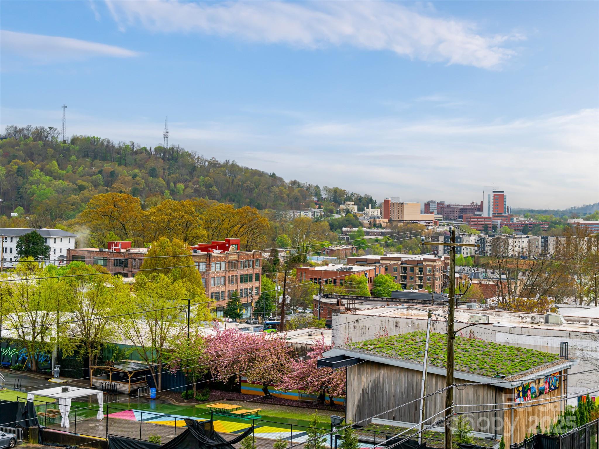 45 Asheland Avenue #405 — Asheville