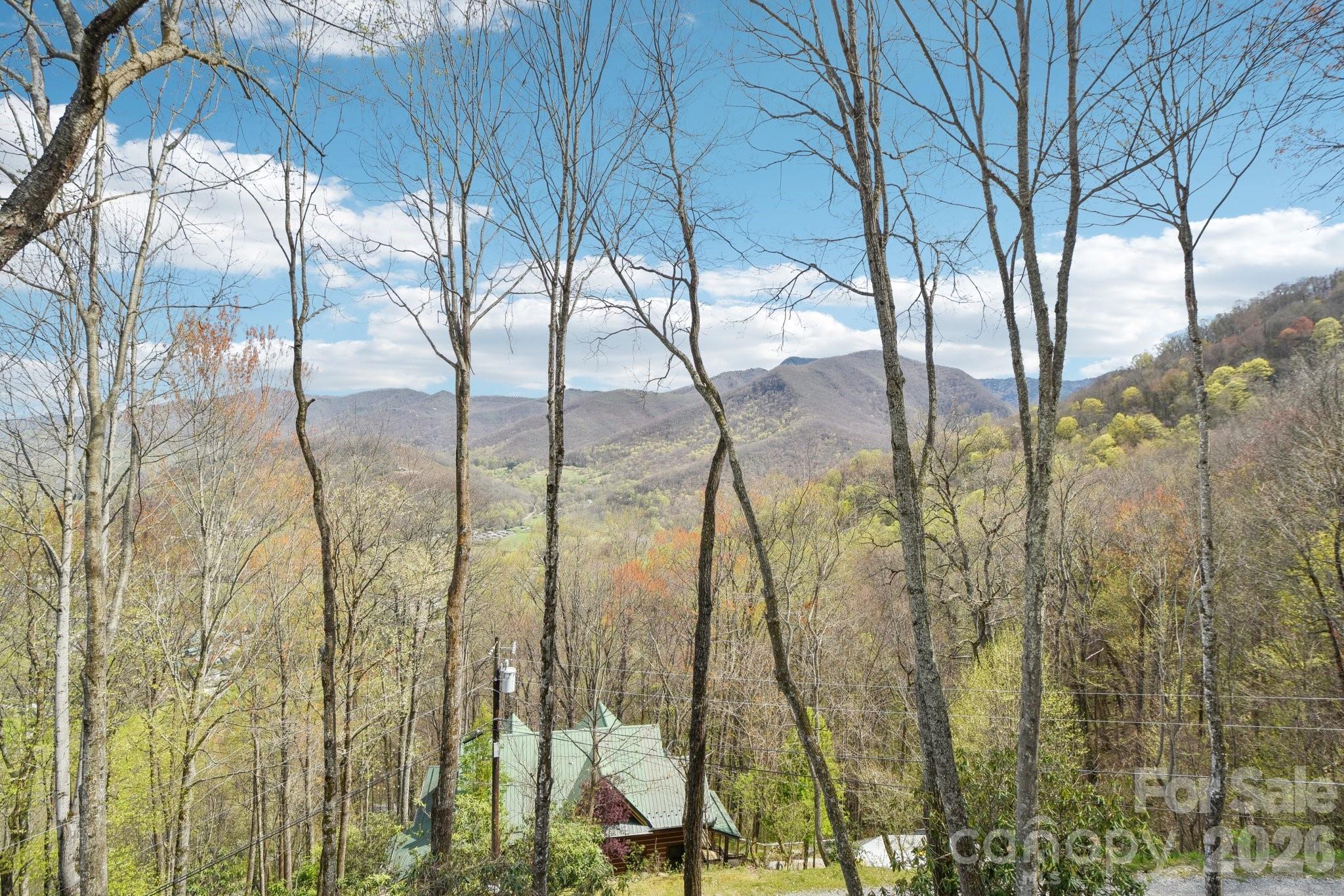 1426 Setzer Cove Road — Maggie Valley