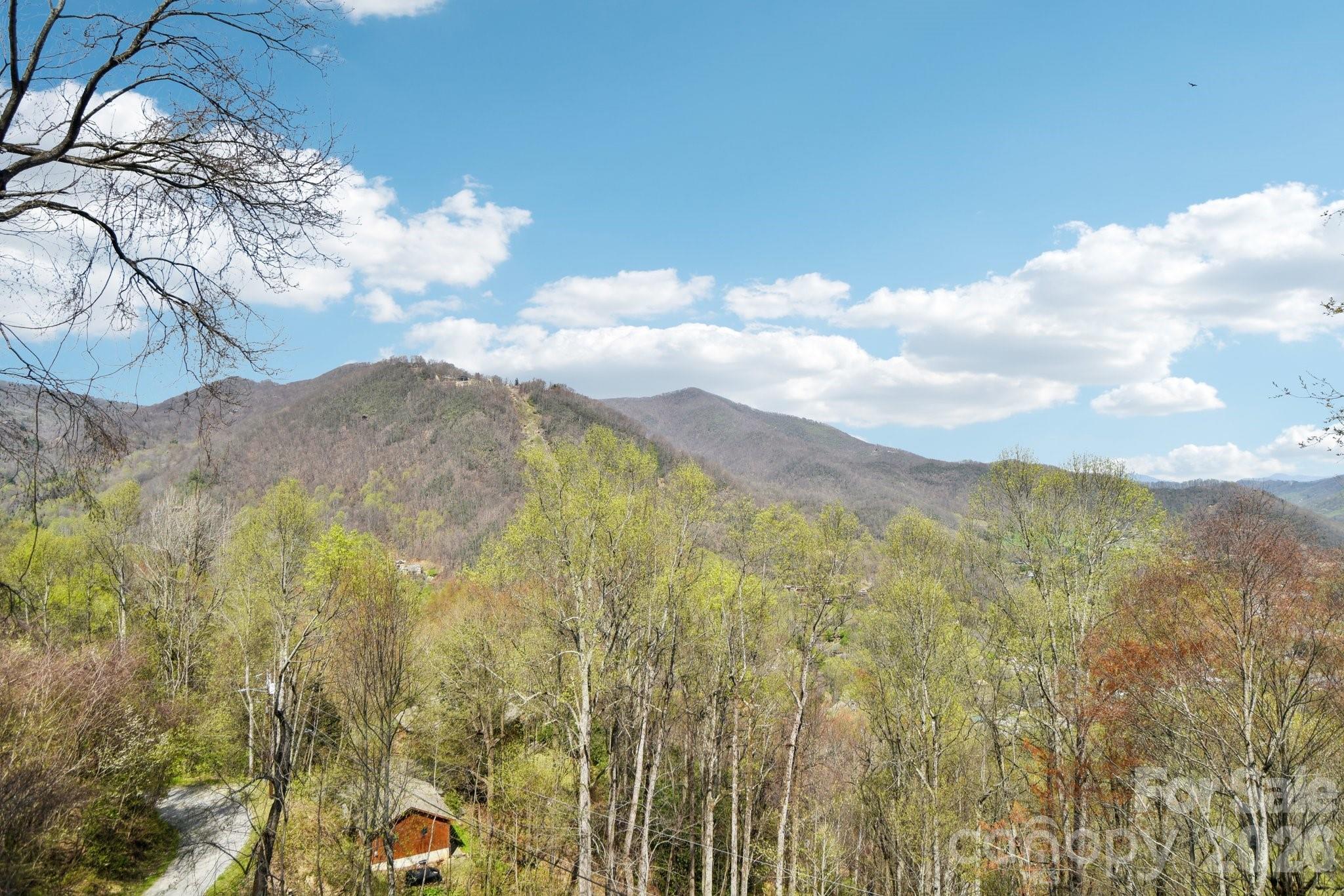 1426 Setzer Cove Road — Maggie Valley
