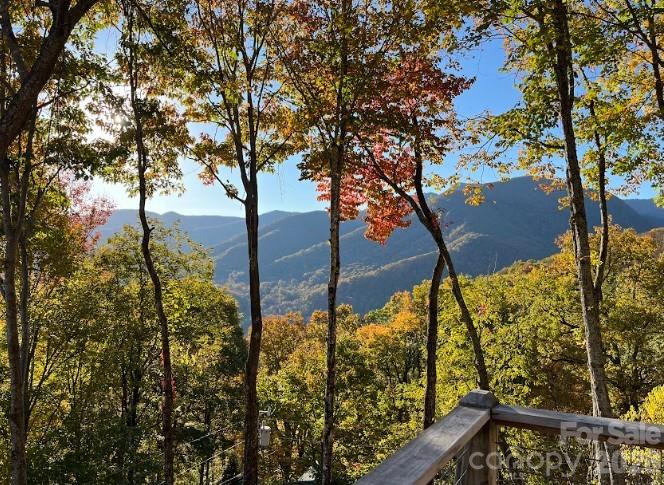 1426 Setzer Cove Road — Maggie Valley
