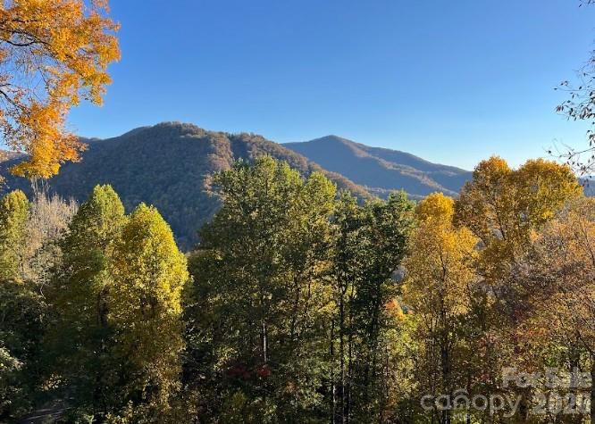 1426 Setzer Cove Road — Maggie Valley