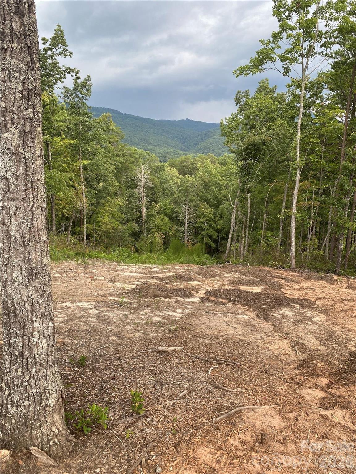 1 Jackson Ridge Lane — Mill Spring