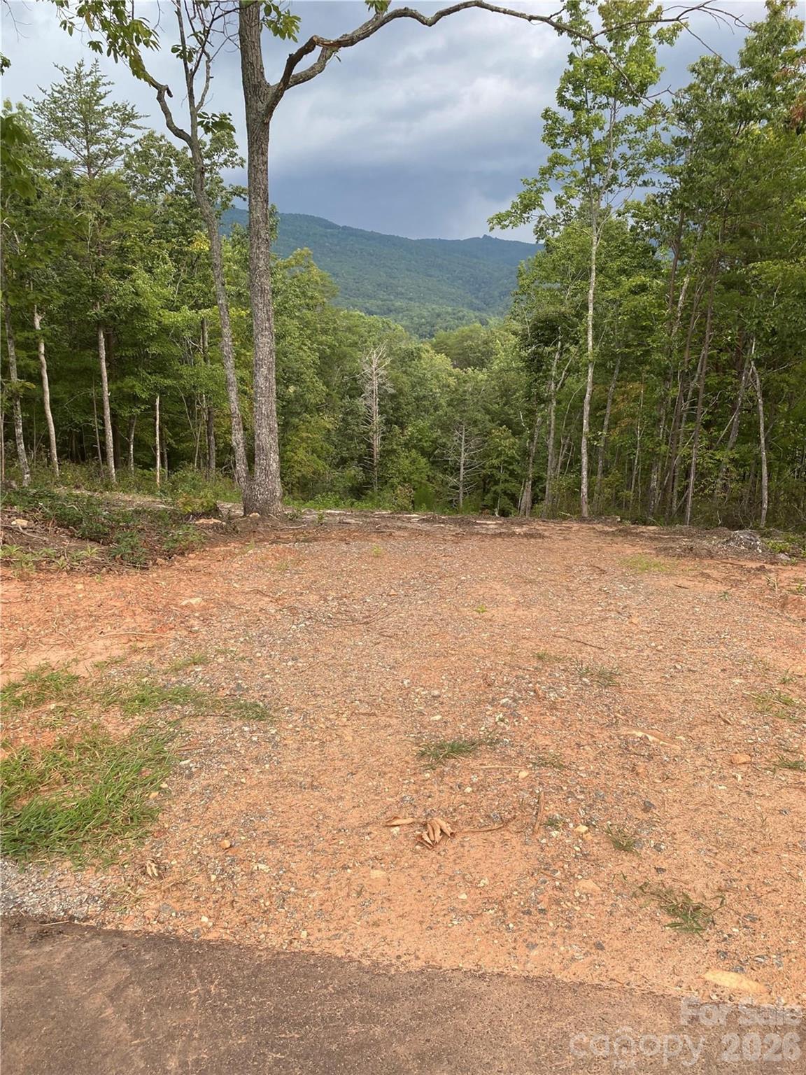 1 Jackson Ridge Lane — Mill Spring