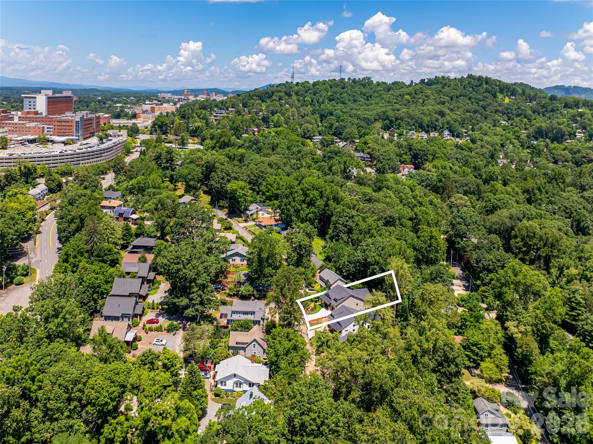 110 Unadilla Avenue — Asheville
