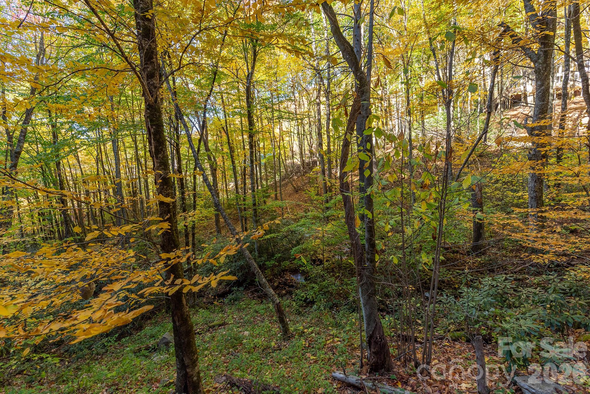 100 Candlemaker Trail — Maggie Valley