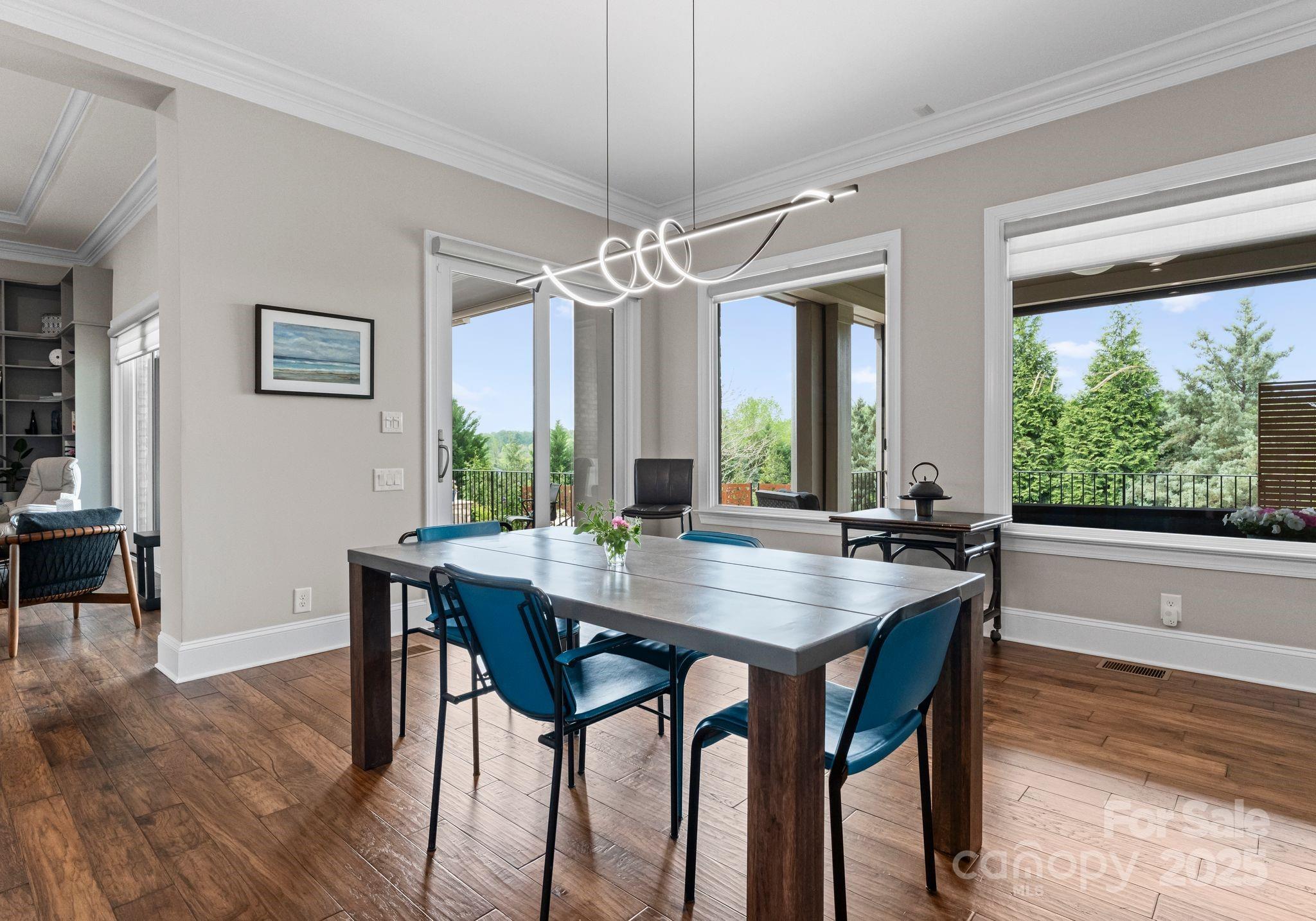 767 Pinnacle Drive — Iron Station