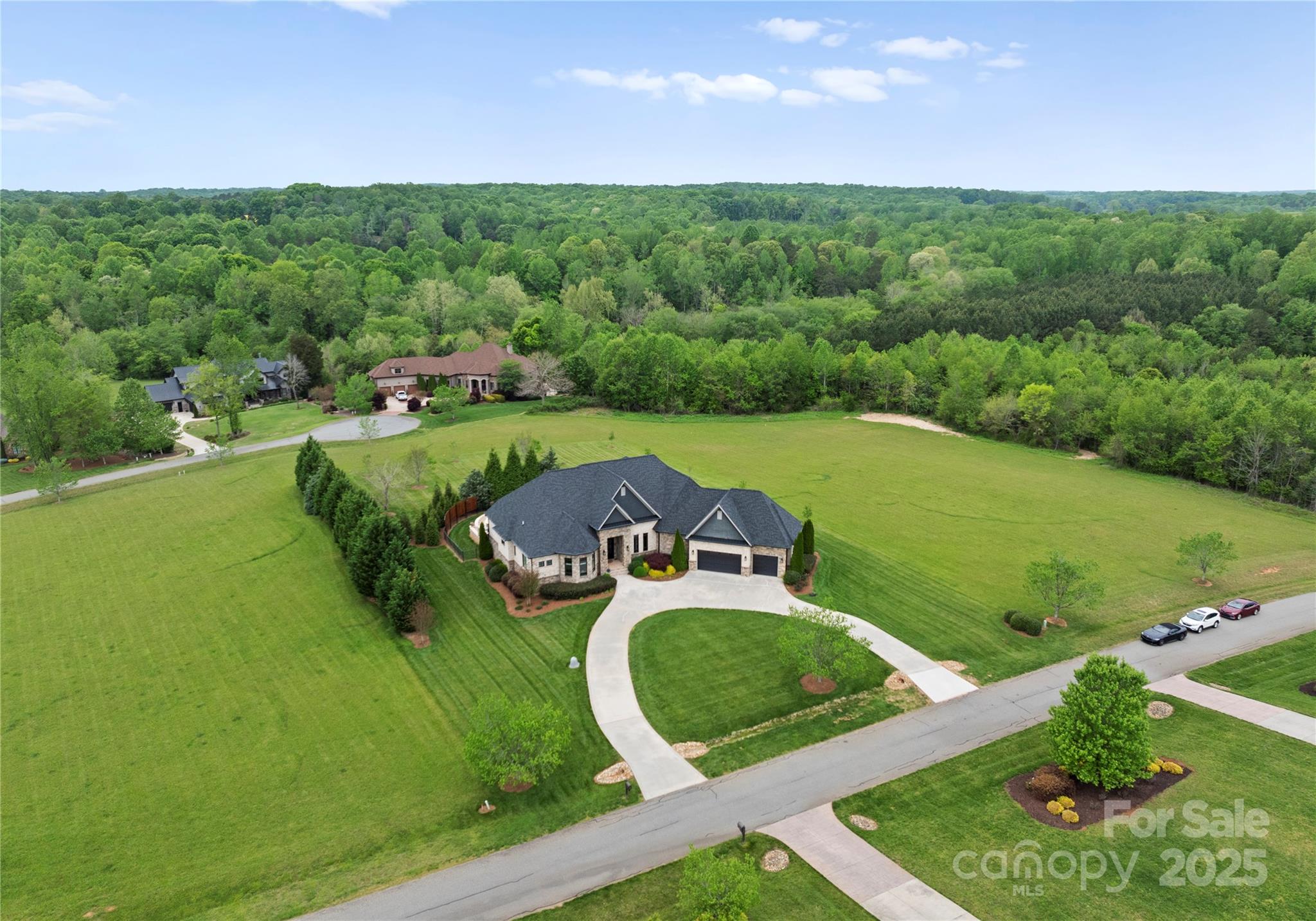 767 Pinnacle Drive — Iron Station