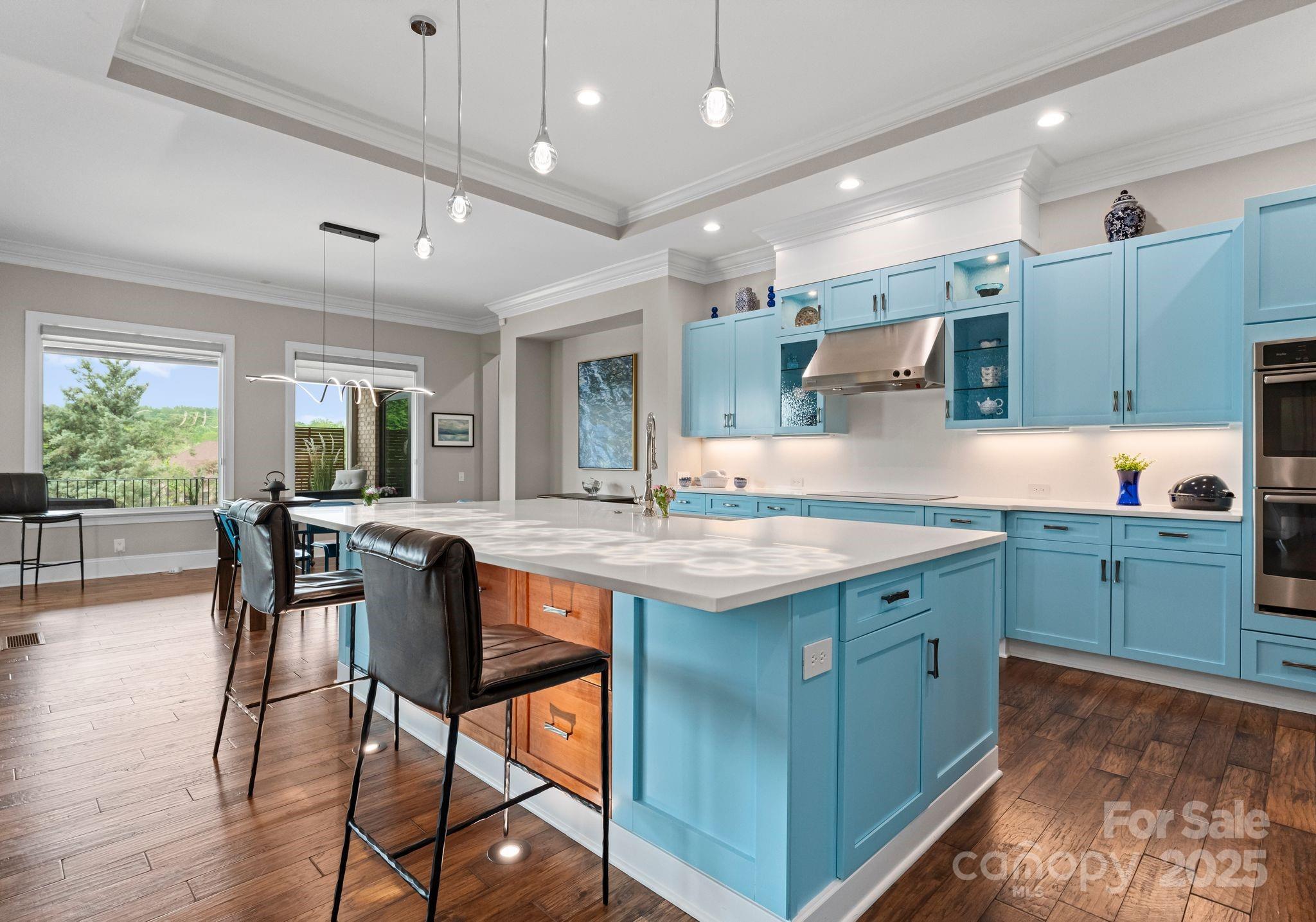 767 Pinnacle Drive — Iron Station