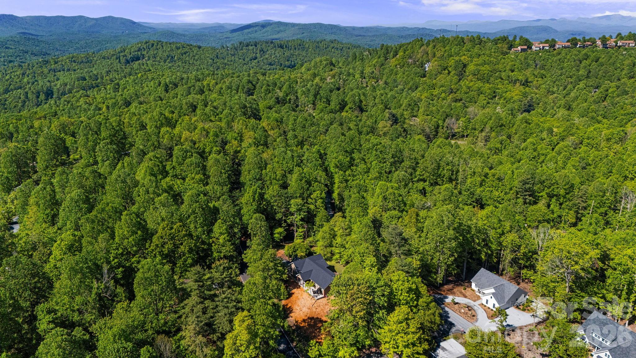 411 Alta Circle — Hendersonville
