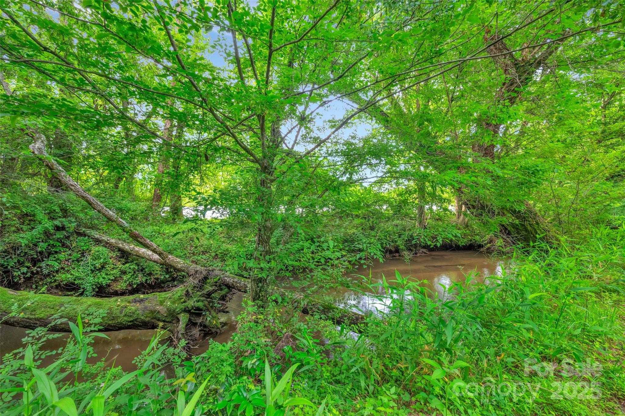 26 Bonnies Cove Trail — Mills River