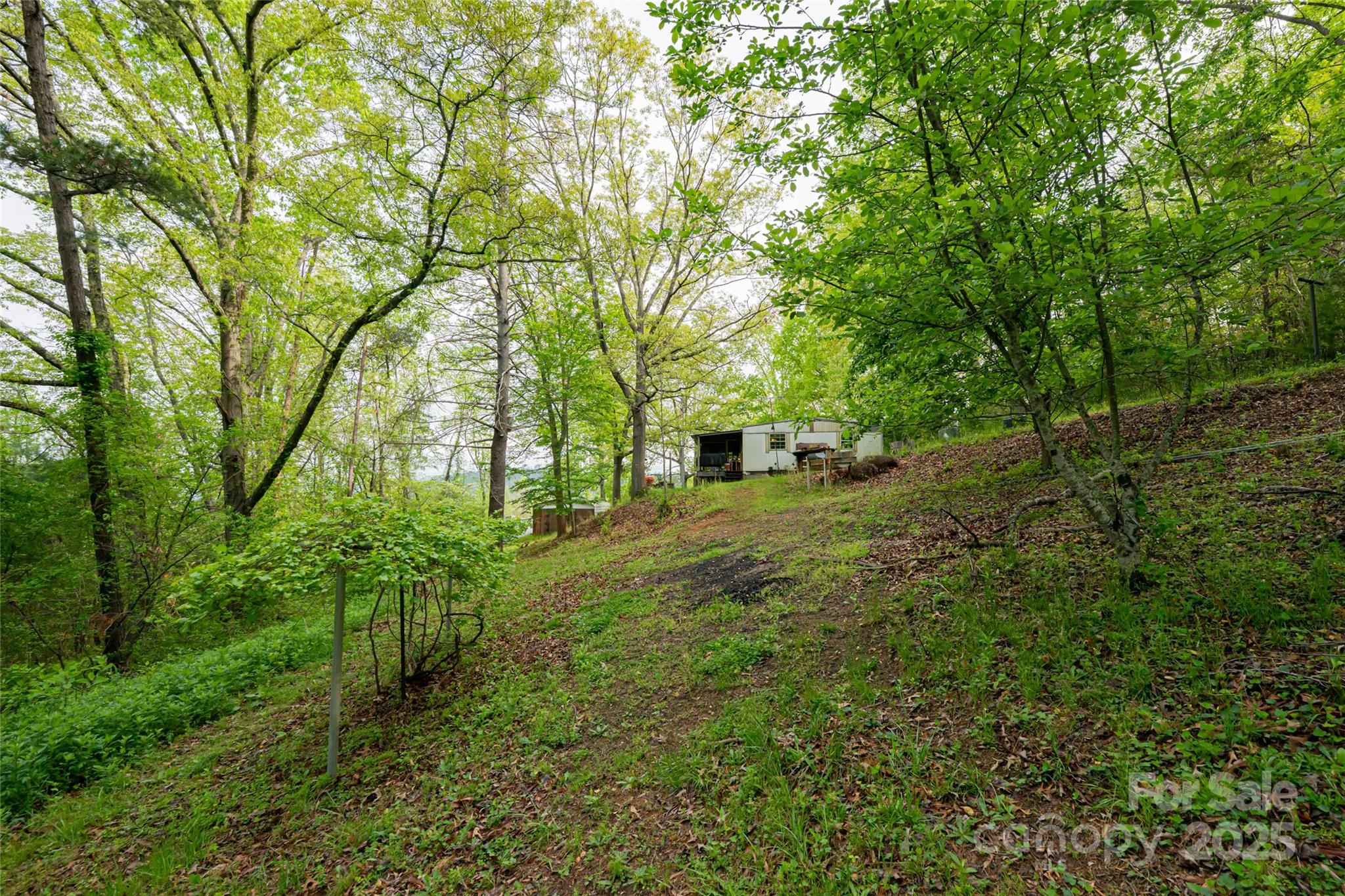 25 Coal Creek Lane — Weaverville