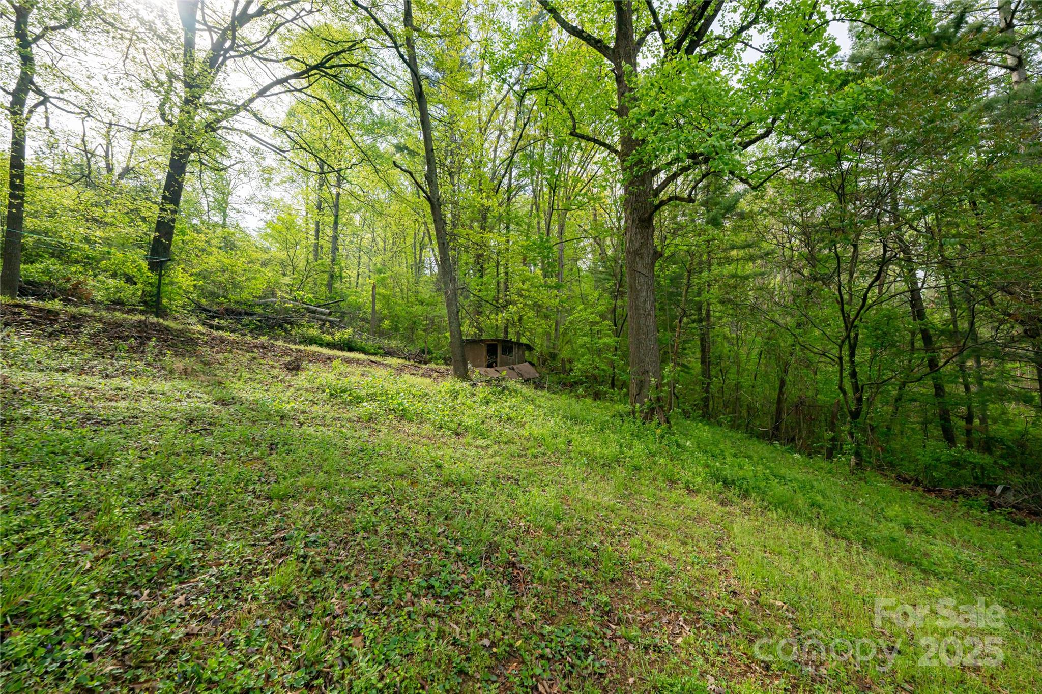25 Coal Creek Lane — Weaverville