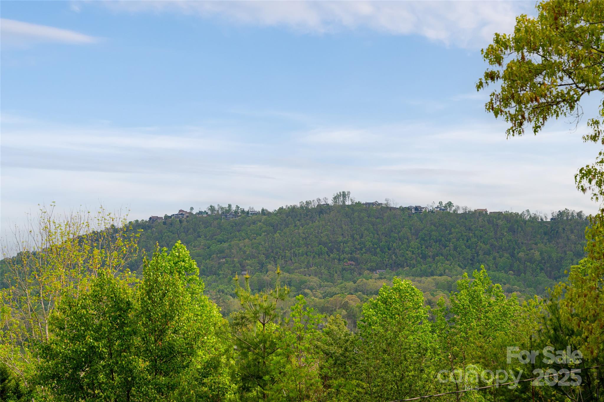25 Coal Creek Lane — Weaverville