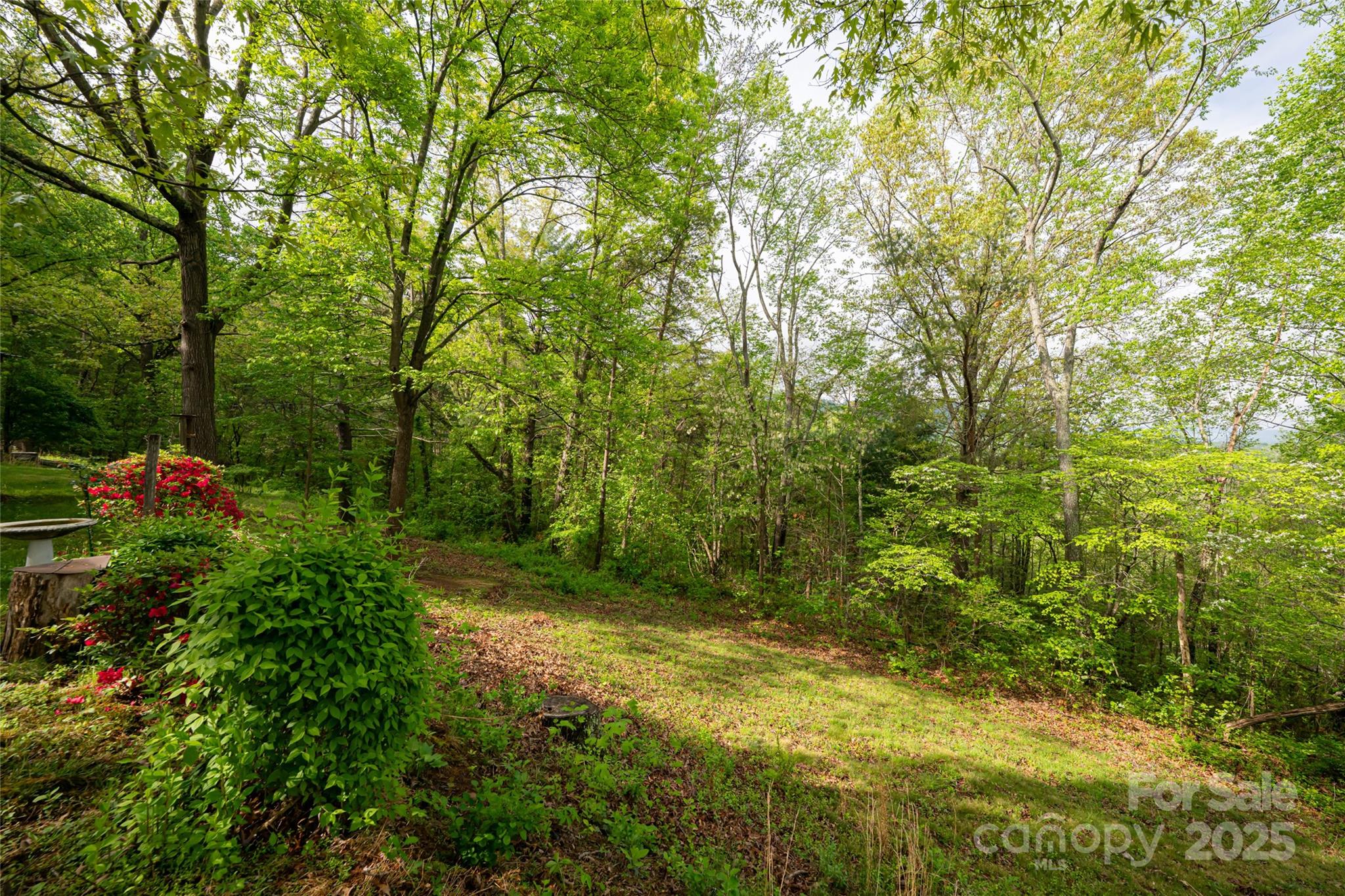 25 Coal Creek Lane — Weaverville