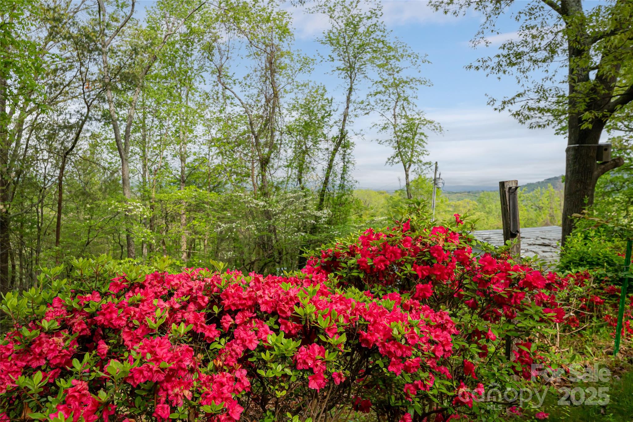 25 Coal Creek Lane — Weaverville