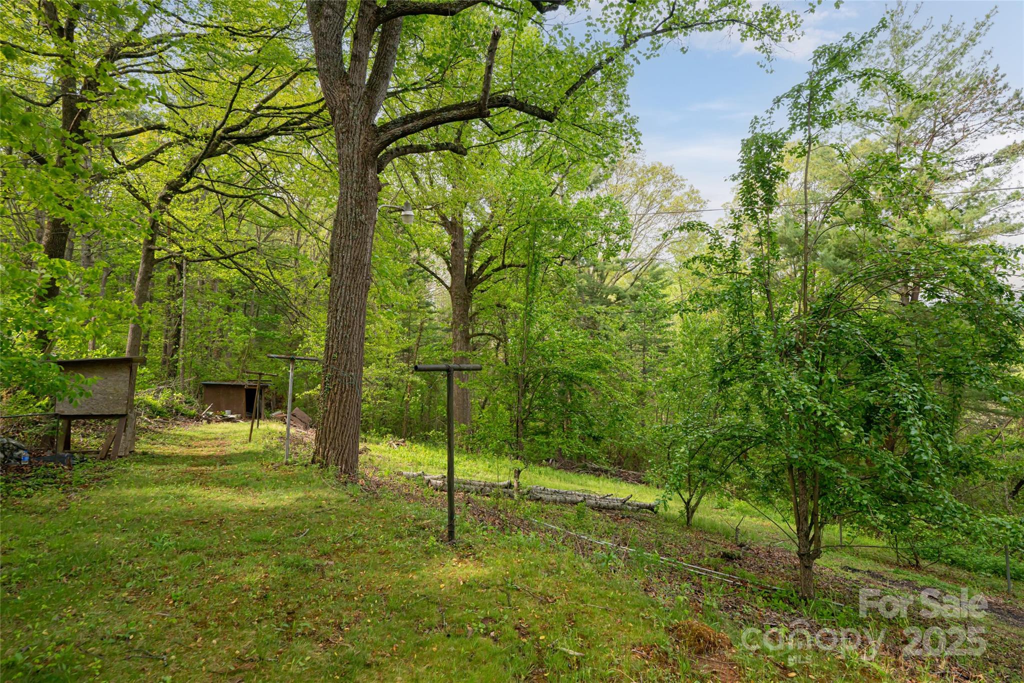 25 Coal Creek Lane — Weaverville