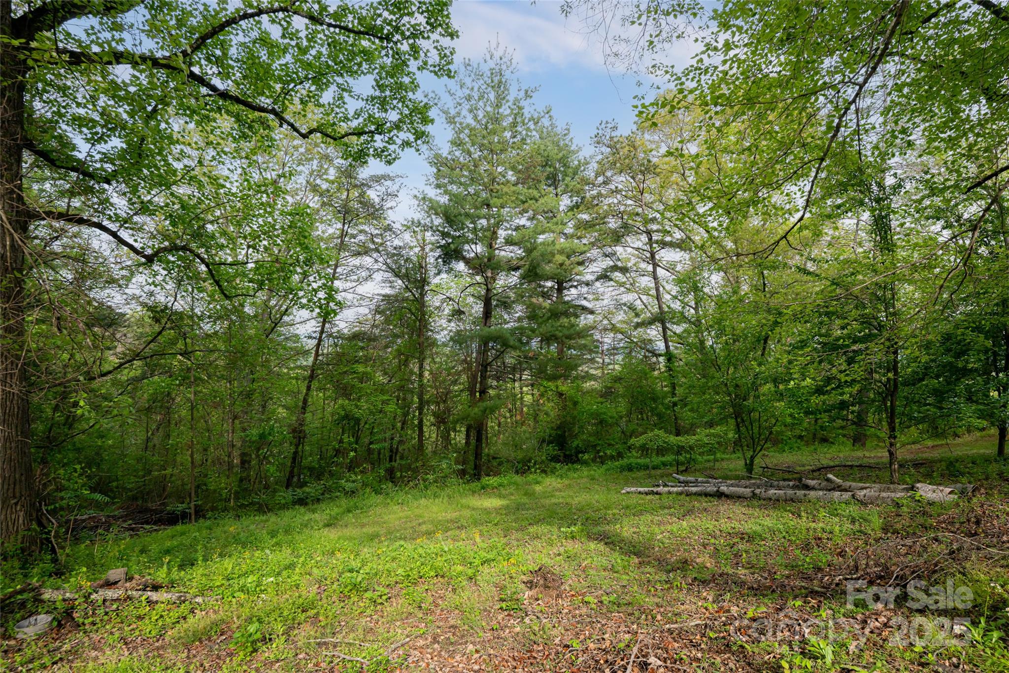 25 Coal Creek Lane — Weaverville