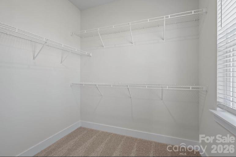 479 Shasta Street #5201 — Gastonia