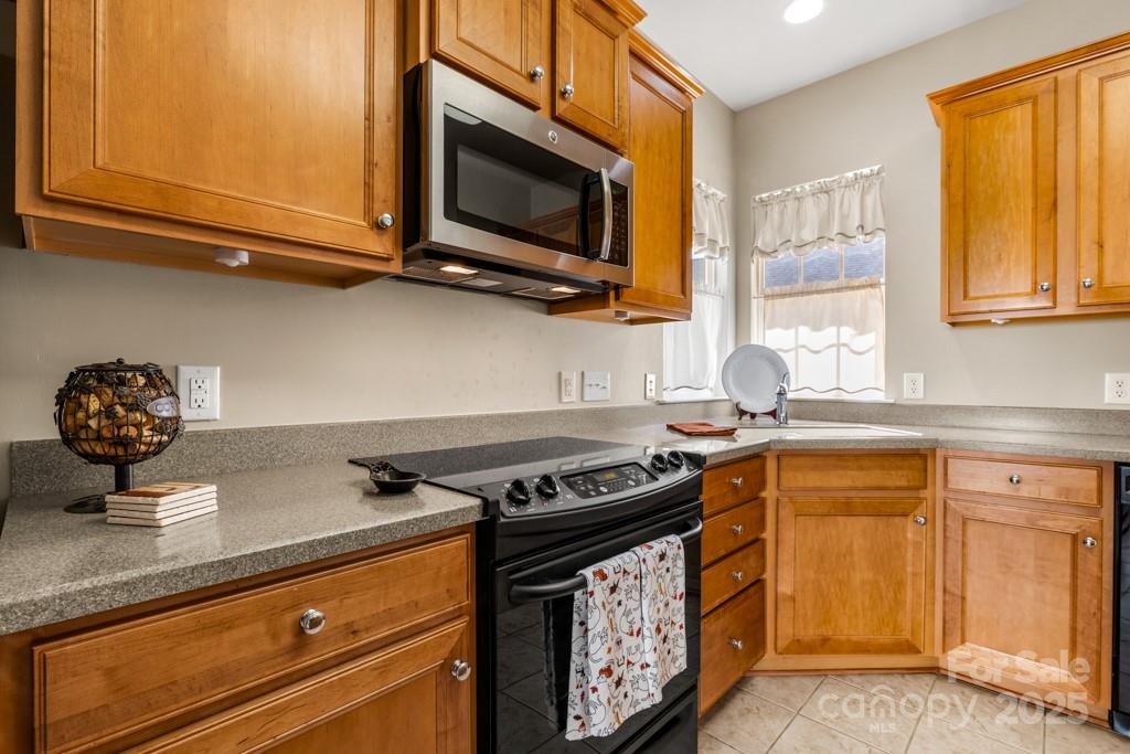 16291 Raven Crest Drive — Indian Land