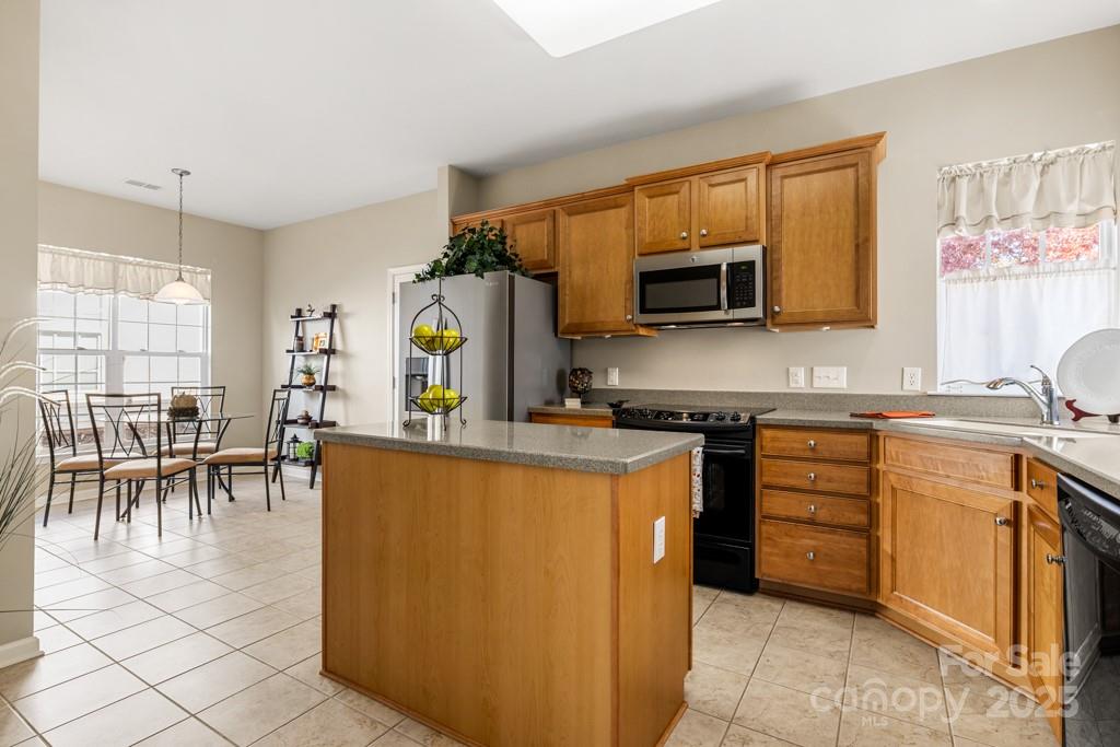 16291 Raven Crest Drive — Indian Land