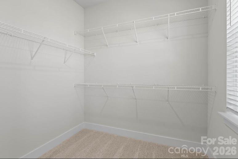 487 Shasta Street #5203 — Gastonia