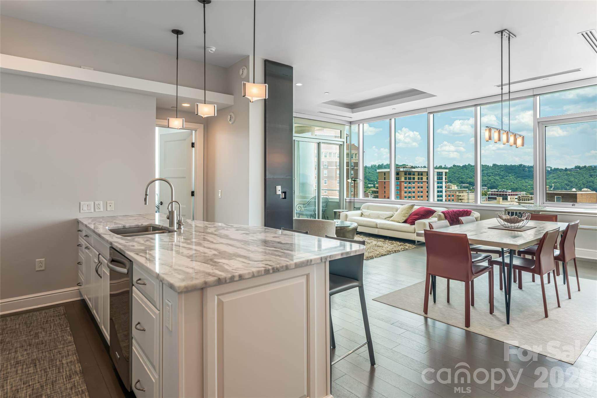 151 Haywood Street #1002 — Asheville
