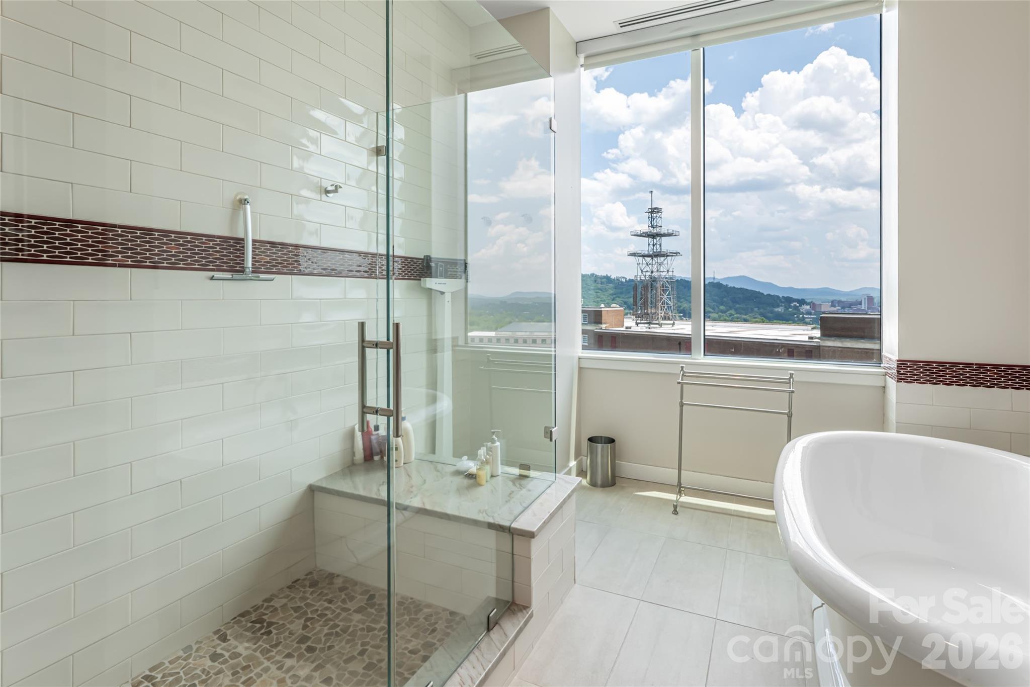 151 Haywood Street #1002 — Asheville
