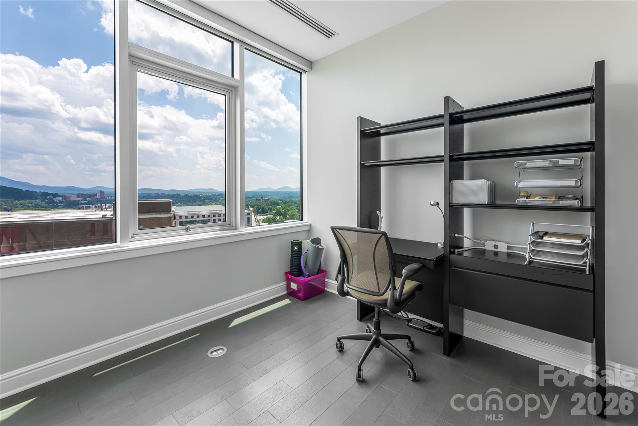 151 Haywood Street #1002 — Asheville