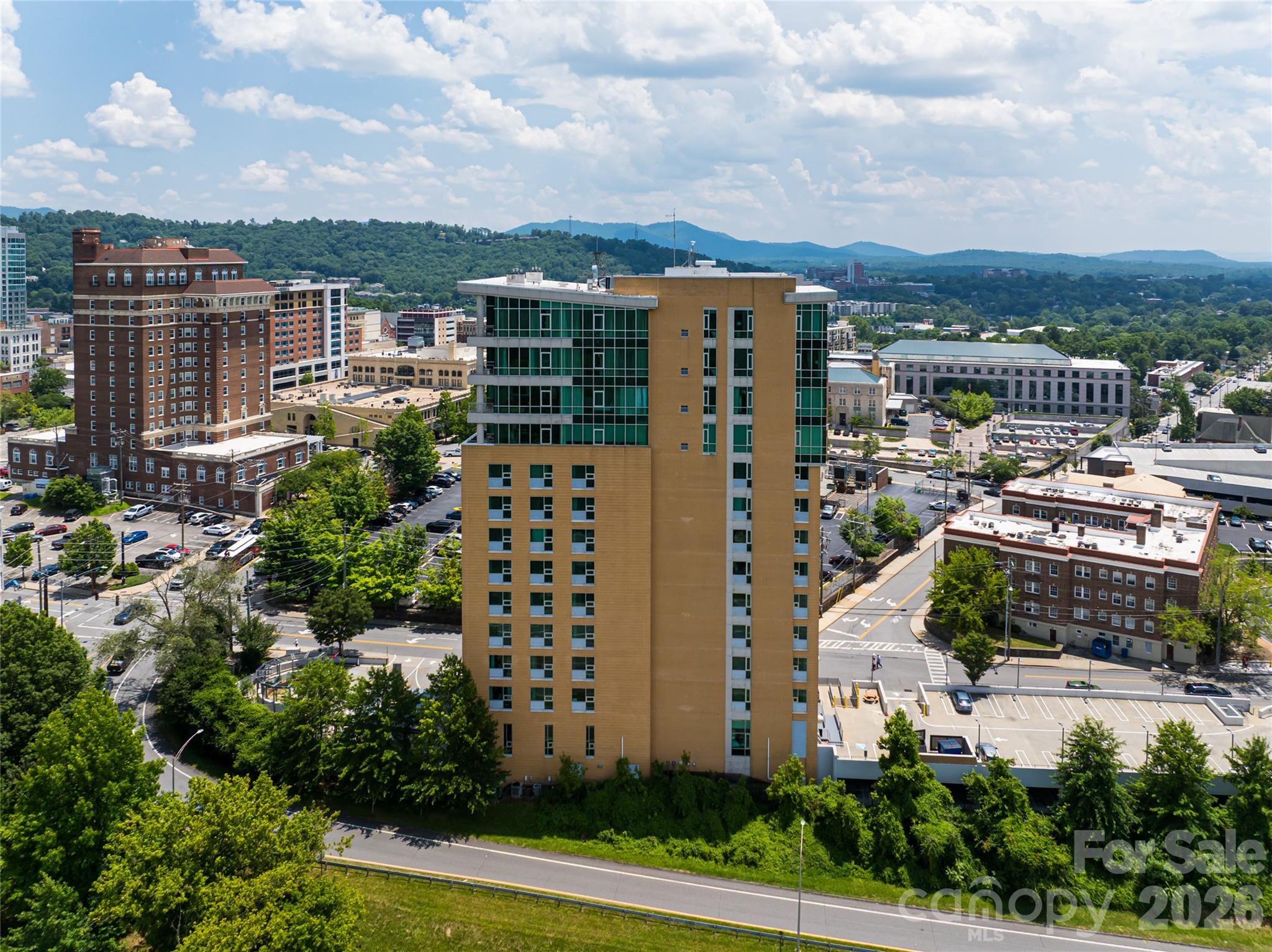 151 Haywood Street #1002 — Asheville