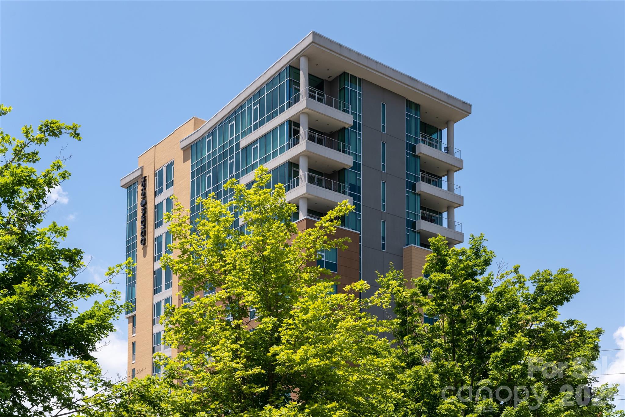 151 Haywood Street #1002 — Asheville