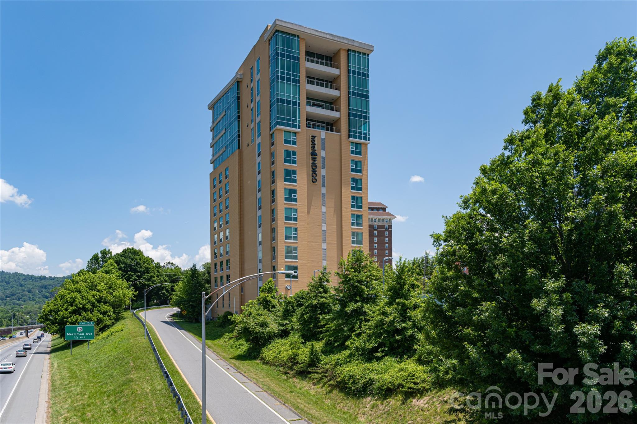 151 Haywood Street #1002 — Asheville