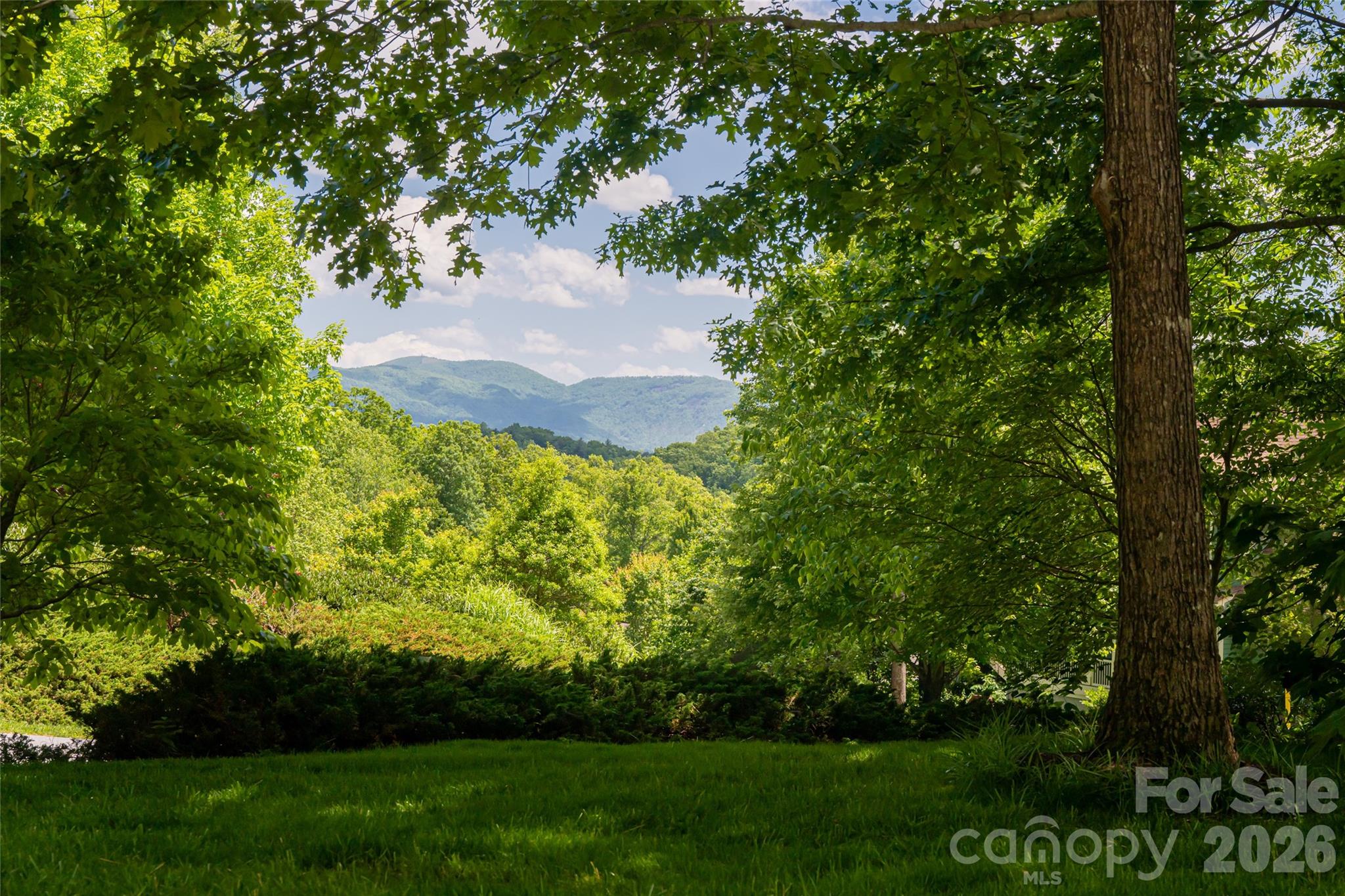 20 East Owl Creek Lane — Fairview