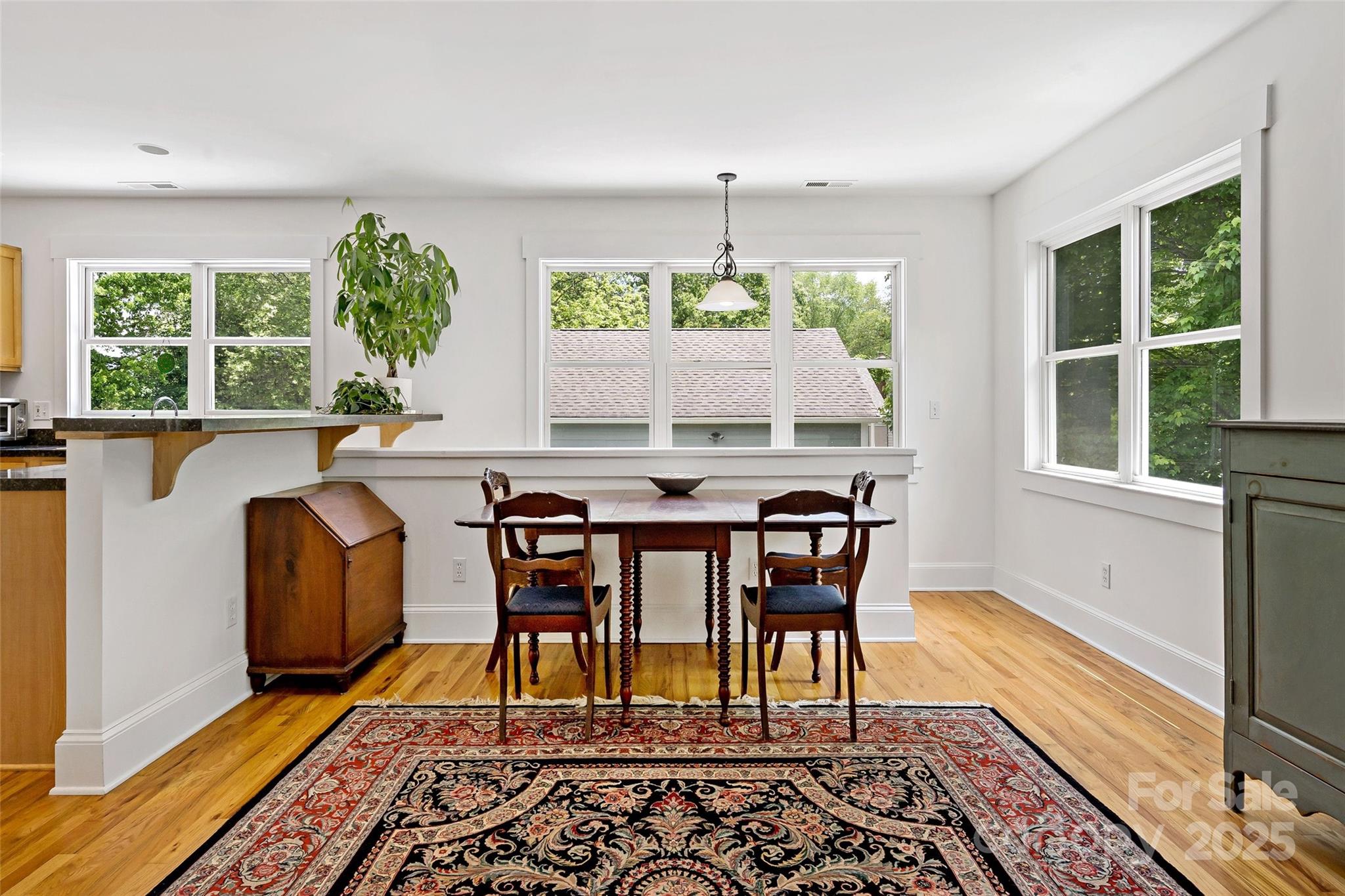 24 Browndale Road — Asheville