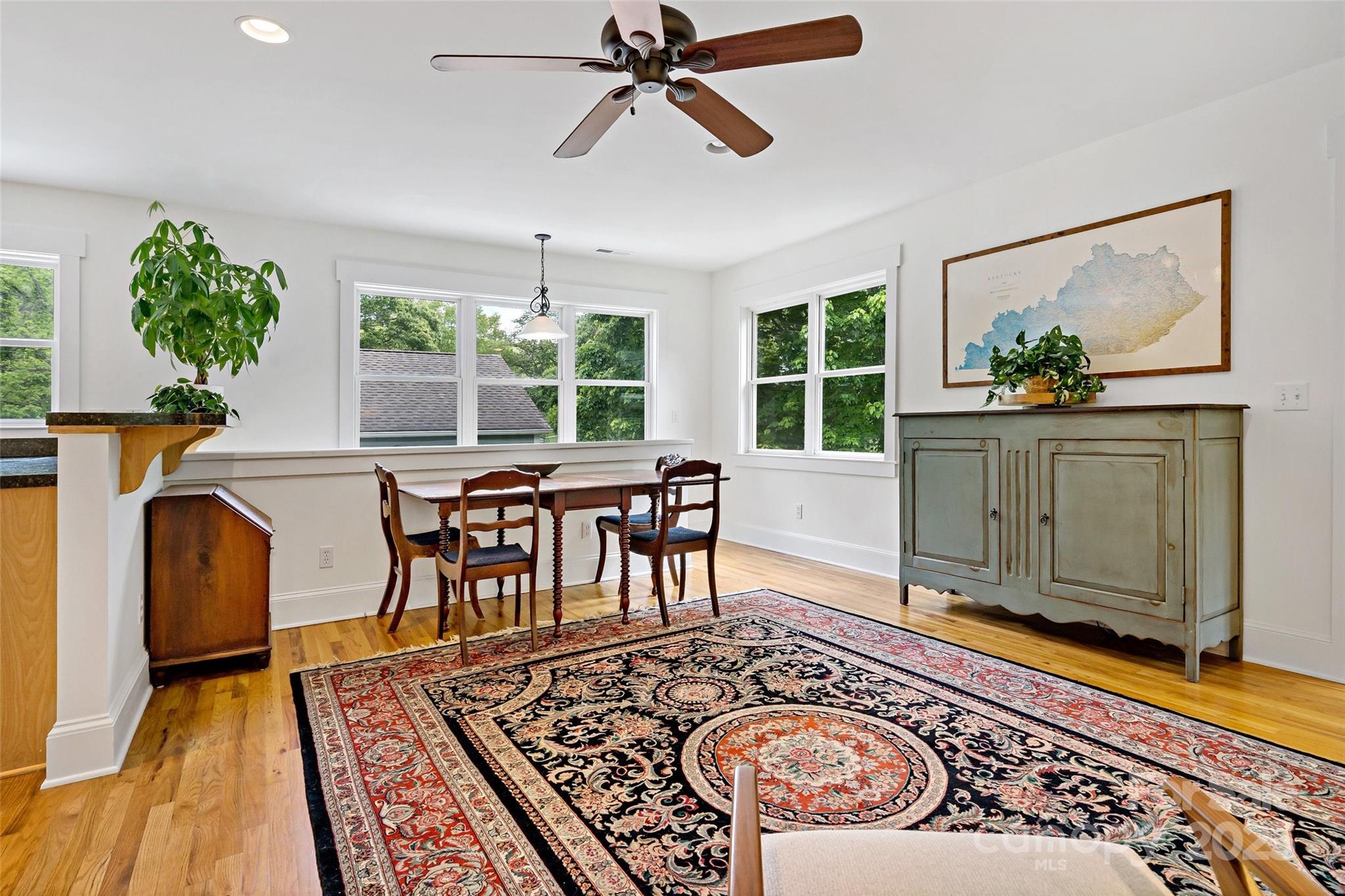24 Browndale Road — Asheville