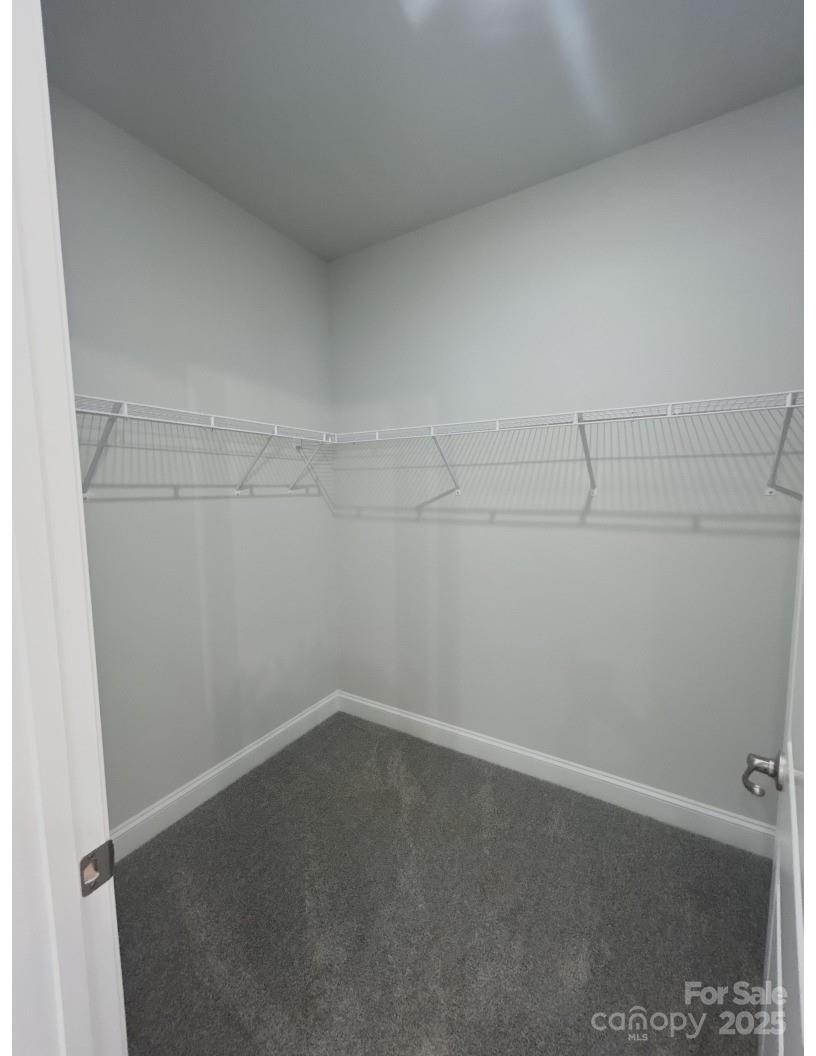 2914 Waterford Lane #33A — Albemarle