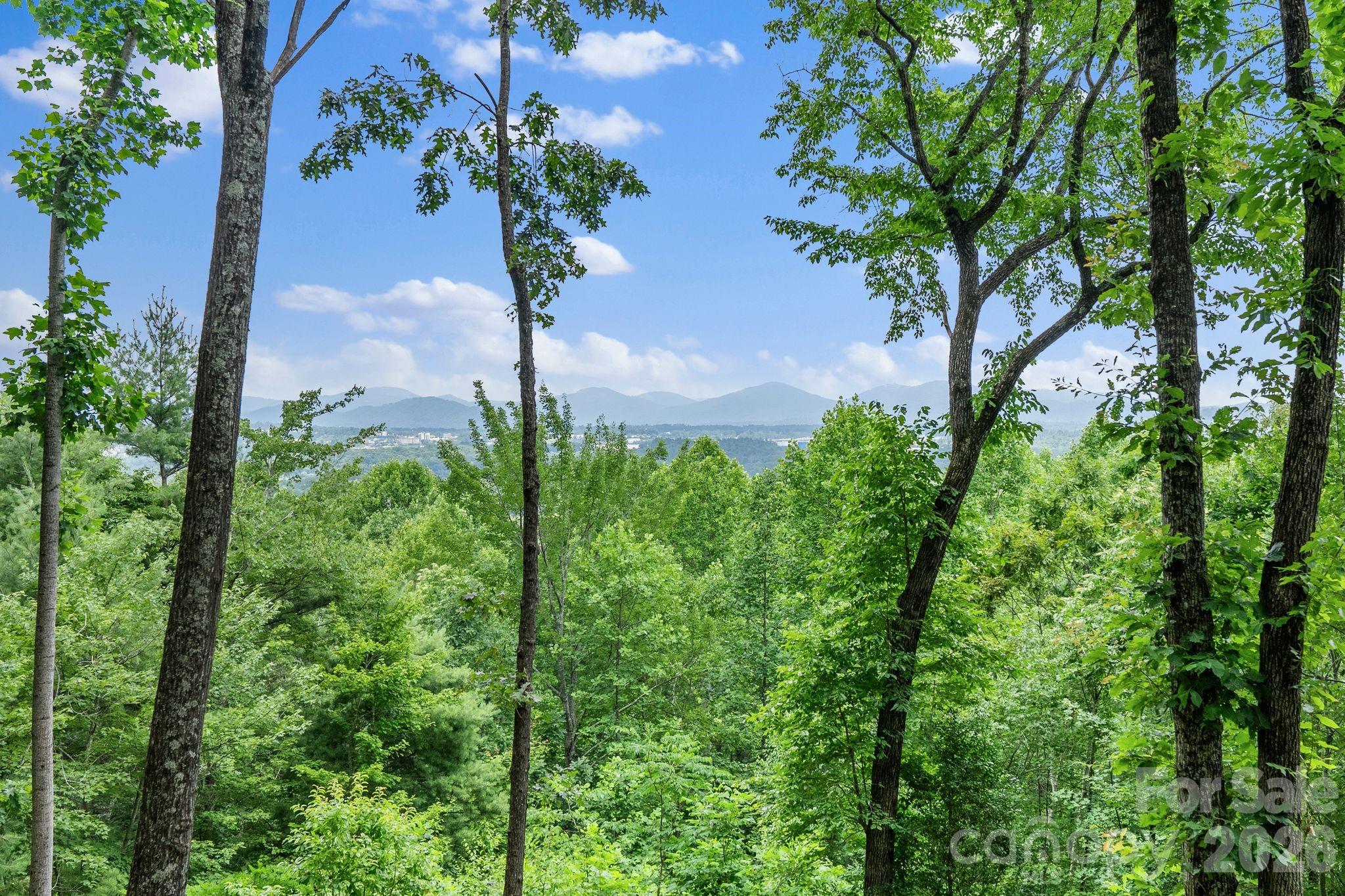 120 Split Rock Trail — Arden
