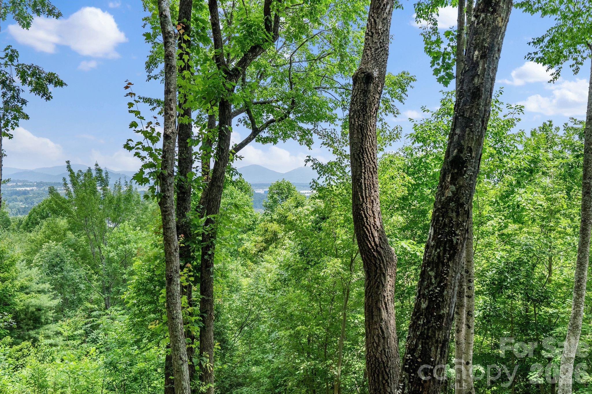 120 Split Rock Trail — Arden